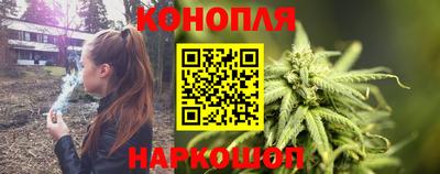 индика Будённовск