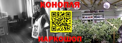 индика Будённовск