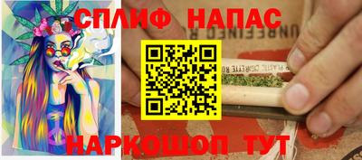 индика Будённовск