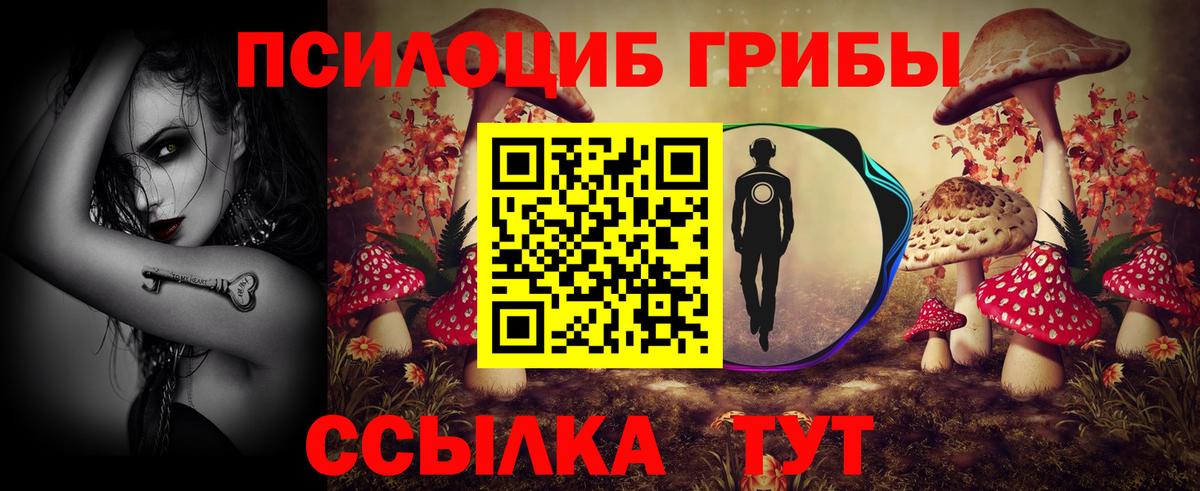 Галлюциногенные грибы Psilocybine cubensis  Вход с VPN  Псилоцибиновые грибы GOLDEN TEACHER  Нижнекамск 